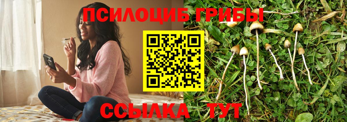 Псилоцибиновые грибы прущие грибы Владикавказ