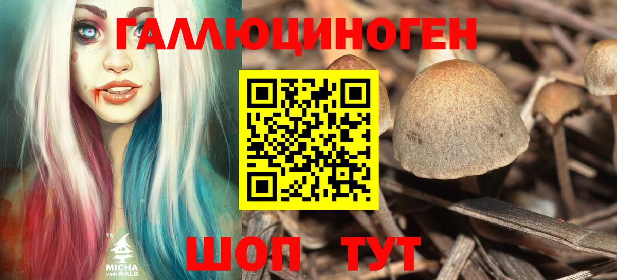 купить закладку  Вход с VPN  Владикавказ  Псилоцибиновые грибы MAGIC MUSHROOMS 